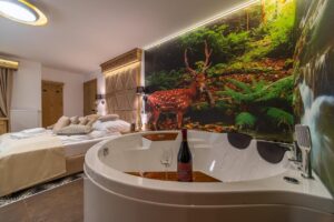 Hotel z Jacuzzi w Pokoju Zakopane